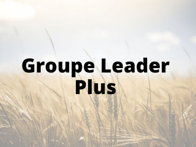 Groupe leader plus