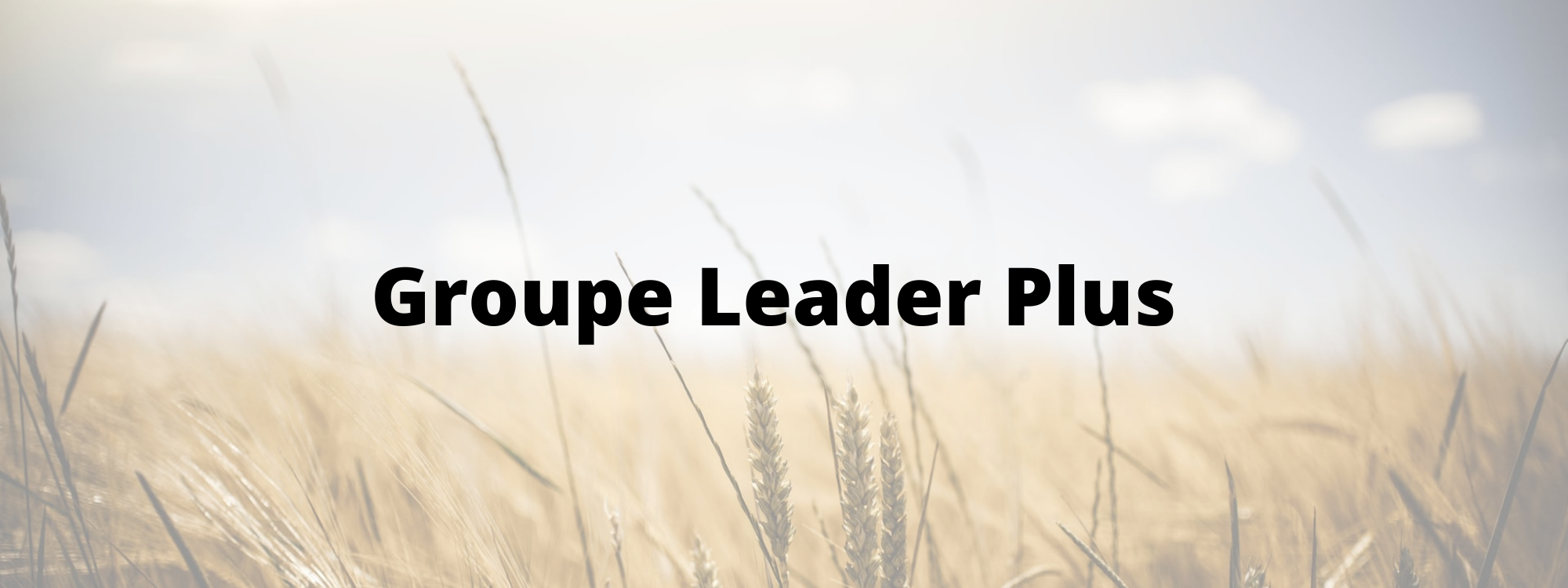 Groupe Leader Plus